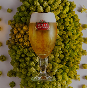 Stella Artois